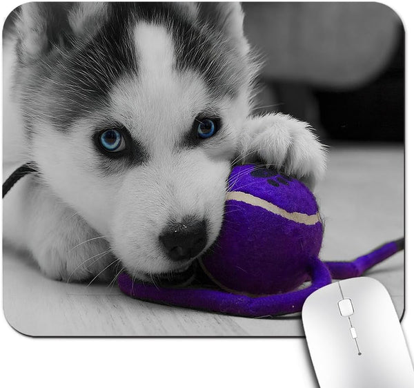 Siberian Husky Pup Playing with Purple Blue Ball Cute Large Mouse Pad Custom