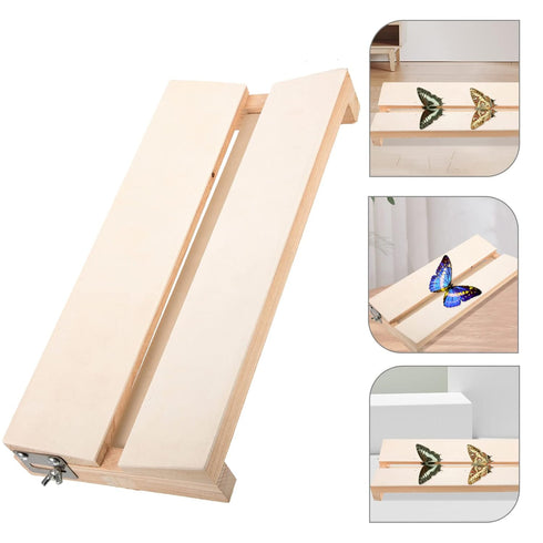 Yardwe Specimen Display Board, Adjustable Labs Boards for Butterfly Mounting Specimen Spreading Wings for Science