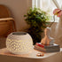 JMEXSUSS Solar Lanterns Outdoor Waterproof, LED Lanterns Decorative Outdoor, Lights Solar Table Lamps for Outside Patio
