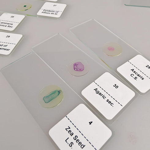 GEEFUNTECH 30 Pcs Microscope Slides Prepared Biology Specimen Lab Sample with Insects Plants Science Learning Home