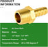 TAISHER 5 PCS Brass Hose Barb Fittings 1/2" (12.7mm) Barb x 1/2" MNPT Pipe Adapter with 5 Hose Clamps