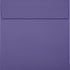 LUXPaper Square Invitation Envelopes | Peel & Press | 6" x 6" | Wisteria Purple | 80lb. Text | 50 Qty by LUXPaper