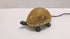 Brown Glass Turtle Night Light - Perfect for Study or Garden