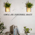 ECTY (2 Pack) Rustic Wall Sconces, Mason Jar Sconces, Farmhouse Home Decor, LED Fairy Lights, Green Fake Plant