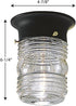 1-Light P5603-31, Progress Lighting Clear Glass Traditional Outdoor Close-to-Ceiling Light, Outdoor, Textured Black