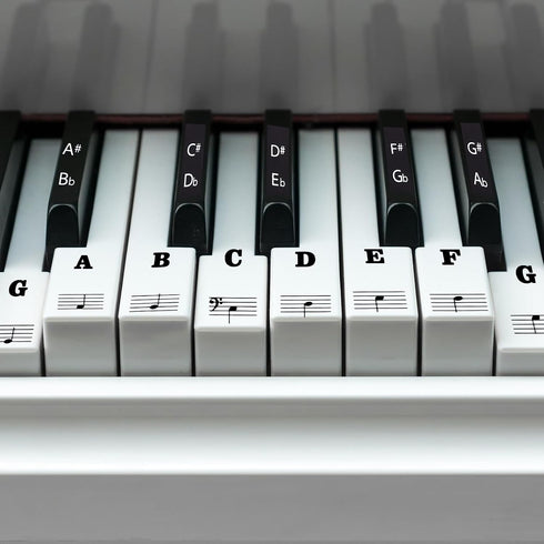 PEOVLVN Piano Keyboard Stickers, Transparent Removable Piano Key Labels Stickers Notes Guide for