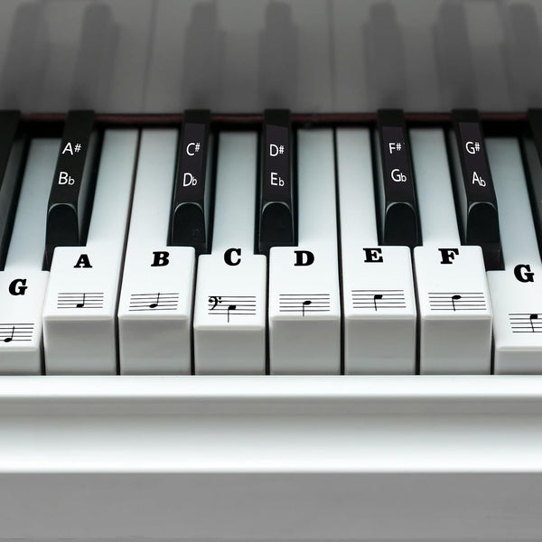 PEOVLVN Piano Keyboard Stickers, Transparent Removable Piano Key Labels Stickers Notes Guide for