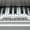 PEOVLVN Piano Keyboard Stickers, Transparent Removable Piano Key Labels Stickers Notes Guide for
