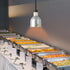 DRRSBRP 250W Commercial 110V 122-140 Hanging Food Heat Lamp, Ceiling Mounted Infrared Food Warmer Light, Retractable