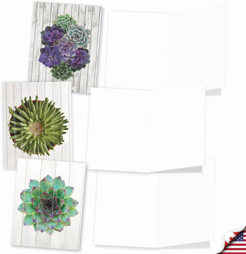 The Best Card Company - 10 Blank Note Cards with Envelopes (4 x 5.12 Inch) - Bulk Boxed All Occasion Cards