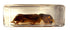 44mm Real Mole Cricket in Crystal Clear Lucite Resin, Preserved Specimen for Biology Science Education