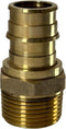 2 Pcs XFITTING Pex A 3/4 Inch x 3/4 Inch Male NPT