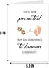 Qiliji Pregnancy Announcement Card for Dog Grandma Grandpa, Funny Grandparent Baby Announcement Card, Pregnancy Revel