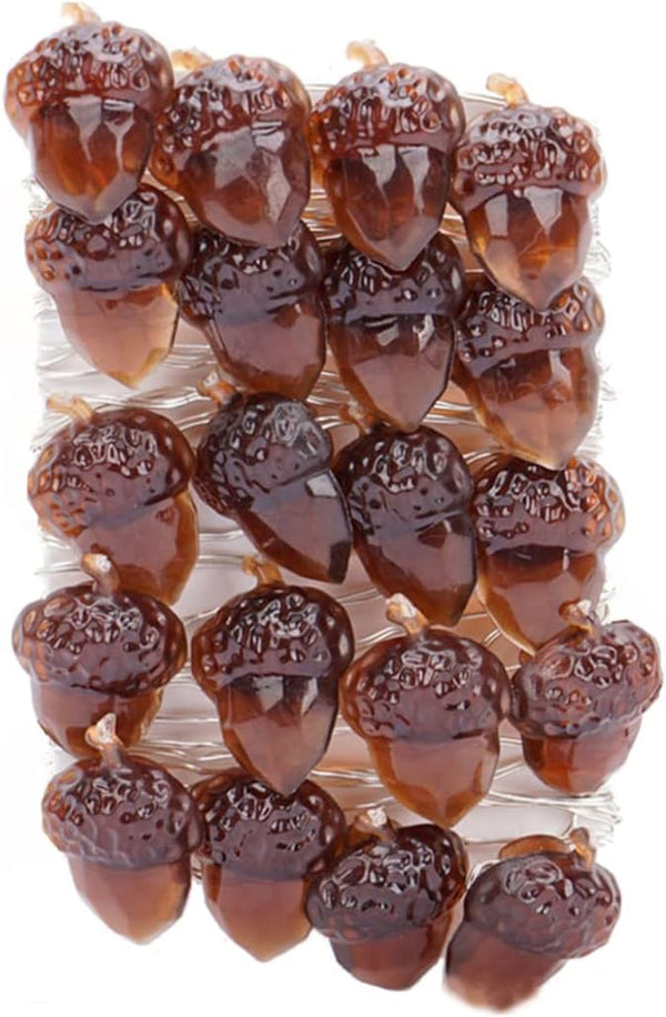 Eioflia Christmas Decorations, Acorn String Lights Thanksgiving Fairy Lights 20 LED 2M Remote