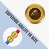 SUNGATOR 1/2 Inch Pushfit Plumbing Fittings, 12 Pack, No Lead Brass Push to Connect for PEX, Copper, CPVC