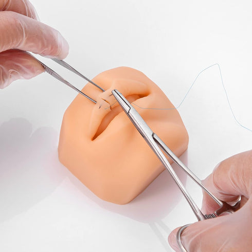 Soft Silicone Mouth Model for Practicing Suture, Flexible Model for Education Display, Rubber Mouth for Teaching