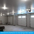 TORCHSTAR Universal Garage Door Opener LED Light Bulb, 100W Eqv. 1700lm Ultra Bright, Minimize Interference with Remotes, UL FCC Listed, 120V, A19 Bulbs, 15W, E26 Base, 5000K Daylight, Pack of 2 by TORCHSTAR