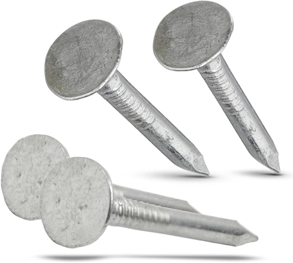(500 Pack) 1 Inch Galvanized Roofing Nails, Professional Grade for Fastening Roofing Felt and Insulation