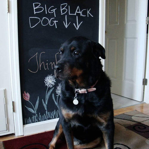 Chalkboard Paper, Blackboard Vinyl Paper Removable Bulletin Wall Sticker, Free: 1 White Chalk Marker Pen + 5 Chalks