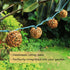 ACRAFT Handmade Dark Brown Rattan Ball String Lights Plug in Fairy Lights for Indoor Outdoor Patio Garden Balcony
