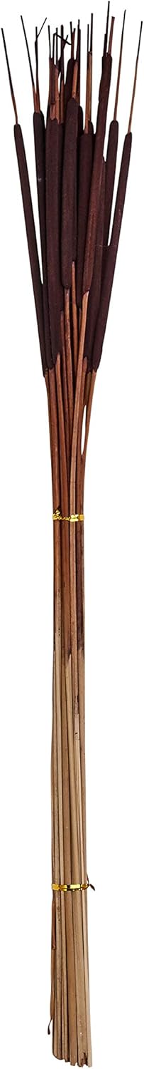 26" Natural Dried Pencil, Set of 5 Bunches of 25, 125pcs, Dark Brown Cattail, Large
