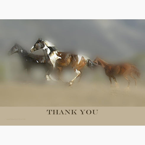 CafePress (20-pack), Pinto And Chestnut Yearling Horses THANK YOU NOTE Greeting Card Note Card with Blank Inside