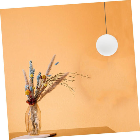 80mm Bulb PRETYZOOM Frosted Glass Globe Lamp Shade, Milky round Sphere, Diameter Replacement Cover for Ceiling Fan