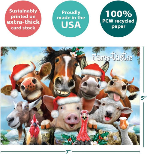 Tree-Free Greetings Season's Greeting Cards, 10 Cards + Envelopes, 100% Recycled Paper, Made in USA