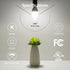 E12 Bulbs, 5000 5.5 40 B11 C37 Bulb Bulbs, Not-dimmable, 6-Pack Lepro LED Candelabra Light Kelvin Daylight White watt