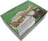Moon Products Premium Bare Wood Natural Pencils Number 2 HB (144 pencils)