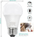 4 Pack E26 LED Bulb, 40W Equivalent, Non-Dimmable, Daylight White 5000K, 6W Bright White for Home Lighting