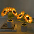Generic Shimmering 3-Color Dimming, 3D (1PC) Sunflower Lamp, Realistic Modeling, USB Rechargeable Sunflower Night