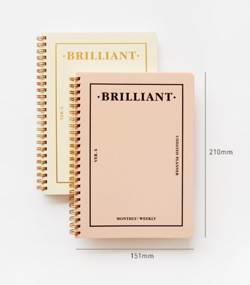 PAPERIAN Brilliant 2021 Monthly & Weekly Planner - Wirebound Undated Scheduler Diary (Grey Sky, 5.9 x 8.2 x 0.4 inches)