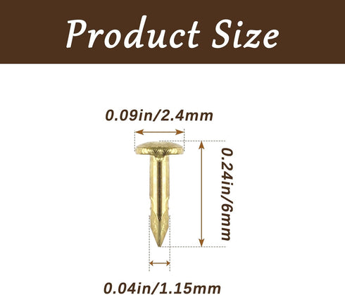 200 Pcs Tiny Brad Nails, Brass String Art Nails, 1.2x6mm Wood Finish Nails for DIY Pictures Boxes Decorative Household