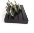 Glamtune 4 Rows Coin Holder, Military Coin Display Stand Rack (Wood)