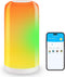 DAYBETTER BGRIC Smart Bedside Lamps, Touch Lamps for Nightstand, Compatible with Alexa