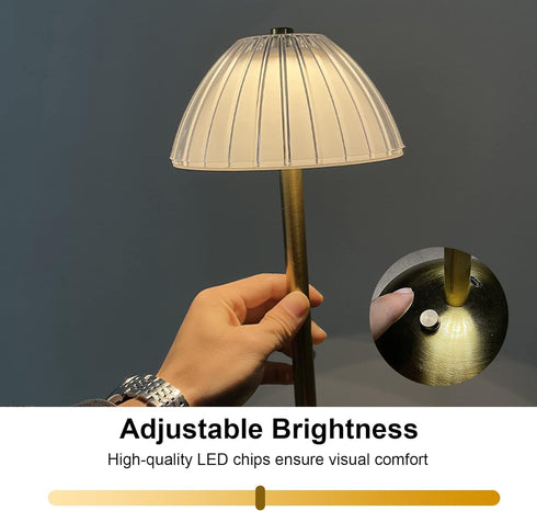 BWHSHK TD010 Gold Portable Desk Lamp for Bedroom,USB Rechargeable Table Lamp/Night Lamp