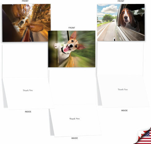 The Best Card Company 10 Assorted Thank You Notes Boxed Set - 4 x 5.12 Inch with Envelopes, Doggie in the Window