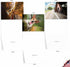 The Best Card Company 10 Assorted Thank You Notes Boxed Set - 4 x 5.12 Inch with Envelopes, Doggie in the Window