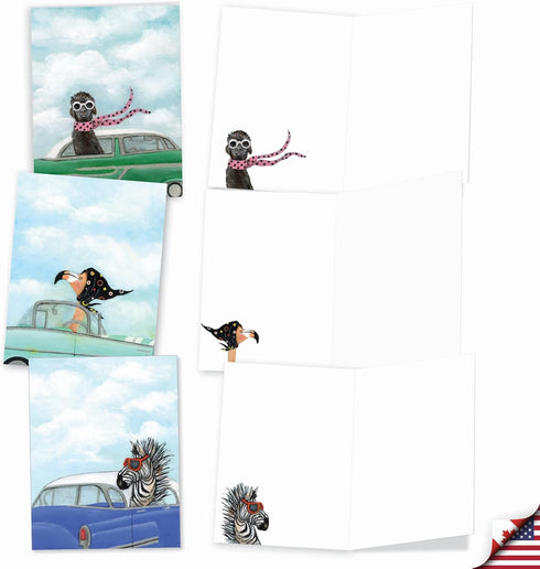 Set 20 10 AM9276OCB-B2x10 The Best Card Company Assorted Blank Greeting Card Box - Incl. Cards + Envelopes - Unique