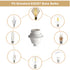 Socket,3 Pack E26 E27 Phenolic Medium Base Light TWDRTDD White Period Style Edison Retro Pendant Lamp Holder
