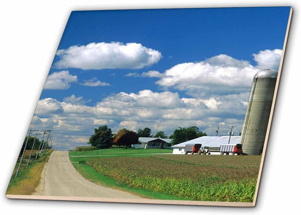 3dRose Dairy Farm in Northeast Wisconsin - US50 DFR0019 - David R.