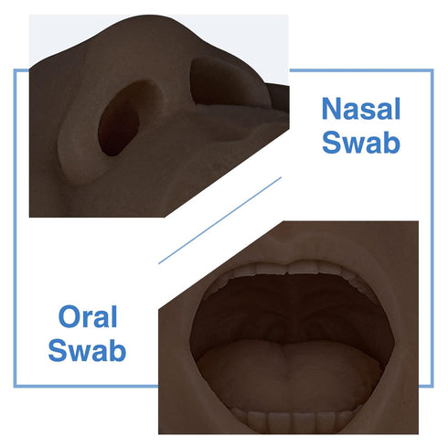 SimCoach Nasal Swab and Throat Swab Test Training Model, Swab Collection Simulator for Practice (Black)