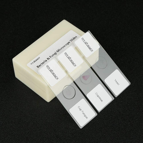 Prepared Bacteria and Fungi Microscope Slide Set, 9pcs for Biology Education and Science Study