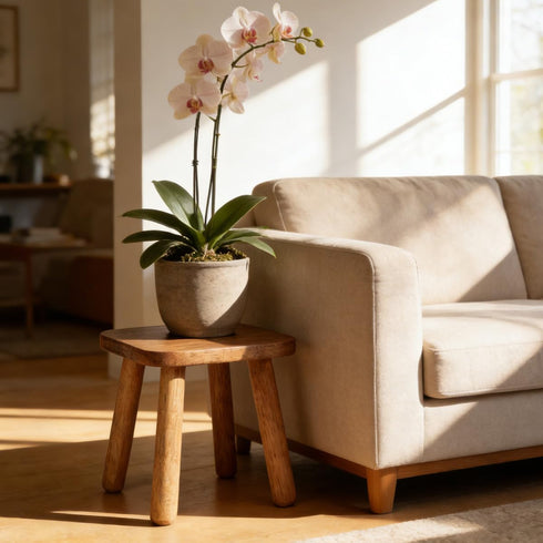 Clucycia 9inch Wooden Step Stool Small Solid Wood Plant Stand Non-Slip Footstool Chair for Adults and Kids Portable