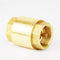 1-1/4" One Check Valve, Female Threaded Vertical Brass Check Valve for Water Backflow Prevention, Oil, Gas-Air, Sewage