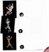 The Best Card Company, 20 Boxed Dog Cards with Envelopes, Blank Assortment (10 Designs)