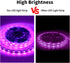 16.4ft 12V 300 iNextStation Pink LED Strip Lights, LED Light for Bedroom with LED Cuttable Tape Light for Kitchen