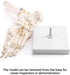 QWORK Human Foot Skeleton Model, Life Size Anatomy Foot and Ankle Model, Right, Fully Articulated, for Education Study