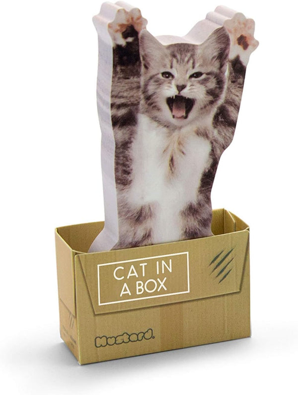 Mustard Sticky Post Notes Memo Pad, Cat In A Box Design